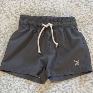 Brave Little Ones Gray Kids Swim Trunks